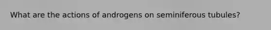 What are the actions of androgens on seminiferous tubules?