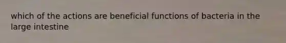 which of the actions are beneficial functions of bacteria in the large intestine