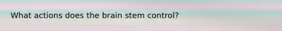 What actions does the brain stem control?