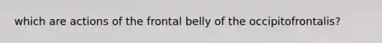 which are actions of the frontal belly of the occipitofrontalis?