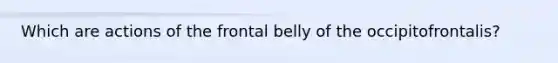 Which are actions of the frontal belly of the occipitofrontalis?