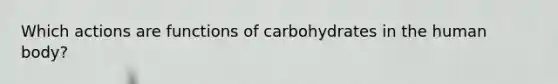 Which actions are functions of carbohydrates in the human body?