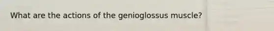 What are the actions of the genioglossus muscle?