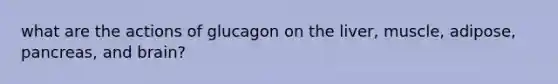 what are the actions of glucagon on the liver, muscle, adipose, pancreas, and brain?