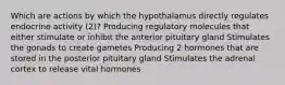 Which are actions by which the hypothalamus directly regulates endocrine activity (2)? Producing regulatory molecules that either stimulate or inhibit the anterior pituitary gland Stimulates the gonads to create gametes Producing 2 hormones that are stored in the posterior pituitary gland Stimulates the adrenal cortex to release vital hormones