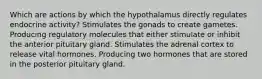 Which are actions by which the hypothalamus directly regulates endocrine activity? Stimulates the gonads to create gametes. Producing regulatory molecules that either stimulate or inhibit the anterior pituitary gland. Stimulates the adrenal cortex to release vital hormones. Producing two hormones that are stored in the posterior pituitary gland.