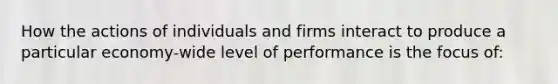 How the actions of individuals and firms interact to produce a particular economy-wide level of performance is the focus of: