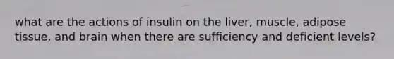 what are the actions of insulin on the liver, muscle, adipose tissue, and brain when there are sufficiency and deficient levels?