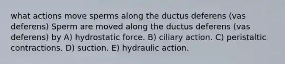 what actions move sperms along the ductus deferens (vas deferens) Sperm are moved along the ductus deferens (vas deferens) by A) hydrostatic force. B) ciliary action. C) peristaltic contractions. D) suction. E) hydraulic action.