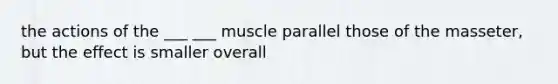 the actions of the ___ ___ muscle parallel those of the masseter, but the effect is smaller overall