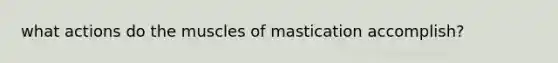 what actions do the muscles of mastication accomplish?