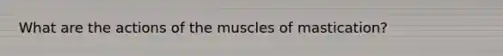 What are the actions of the muscles of mastication?