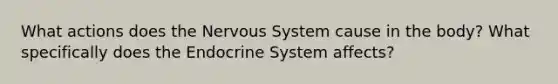 What actions does the Nervous System cause in the body? What specifically does the Endocrine System affects?