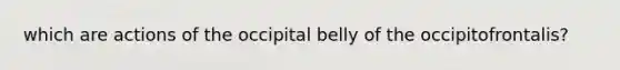 which are actions of the occipital belly of the occipitofrontalis?