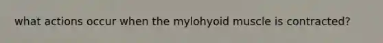 what actions occur when the mylohyoid muscle is contracted?