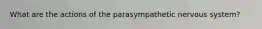 What are the actions of the parasympathetic nervous system?