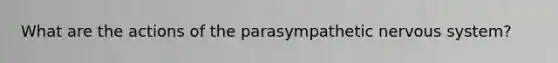 What are the actions of the parasympathetic nervous system?