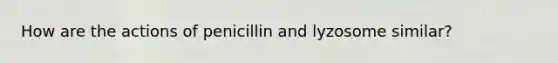 How are the actions of penicillin and lyzosome similar?