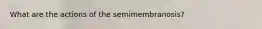 What are the actions of the semimembranosis?