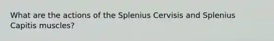 What are the actions of the Splenius Cervisis and Splenius Capitis muscles?