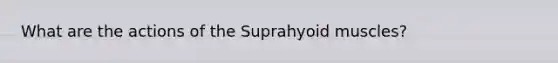 What are the actions of the Suprahyoid muscles?