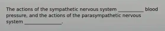 The actions of the sympathetic nervous system ___________ blood pressure, and the actions of the parasympathetic nervous system ________________.