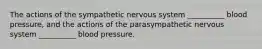 The actions of the sympathetic nervous system __________ blood pressure, and the actions of the parasympathetic nervous system __________ blood pressure.