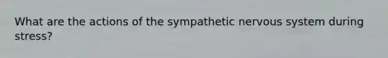 What are the actions of the sympathetic nervous system during stress?