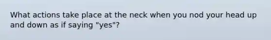 What actions take place at the neck when you nod your head up and down as if saying "yes"?