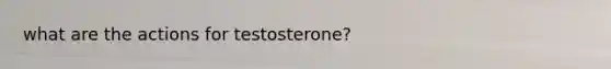 what are the actions for testosterone?