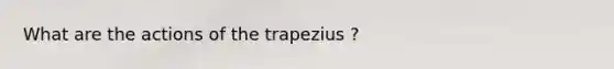 What are the actions of the trapezius ?