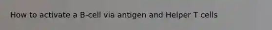 How to activate a B-cell via antigen and Helper T cells