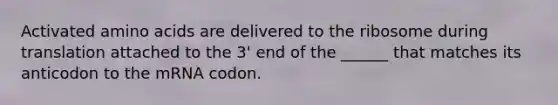 Activated amino acids are delivered to the ribosome during translation attached to the 3' end of the ______ that matches its anticodon to the mRNA codon.