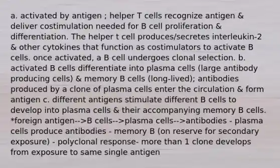 a. activated by antigen ; helper T cells recognize antigen & deliver costimulation needed for B cell proliferation & differentiation. The helper t cell produces/secretes interleukin-2 & other cytokines that function as costimulators to activate B cells. once activated, a B cell undergoes clonal selection. b. activated B cells differentiate into plasma cells (large antibody producing cells) & memory B cells (long-lived); antibodies produced by a clone of plasma cells enter the circulation & form antigen c. different antigens stimulate different B cells to develop into plasma cells & their accompanying memory B cells. *foreign antigen-->B cells-->plasma cells-->antibodies - plasma cells produce antibodies - memory B (on reserve for secondary exposure) - polyclonal response- <a href='https://www.questionai.com/knowledge/keWHlEPx42-more-than' class='anchor-knowledge'>more than</a> 1 clone develops from exposure to same single antigen