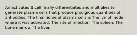 An activated B cell finally differentiates and multiplies to generate plasma cells that produce prodigious quantities of antibodies. The final home of plasma cells is The lymph node where it was activated. The site of infection. The spleen. The bone marrow. The liver.