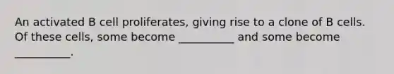 An activated B cell proliferates, giving rise to a clone of B cells. Of these cells, some become __________ and some become __________.