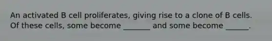 An activated B cell proliferates, giving rise to a clone of B cells. Of these cells, some become _______ and some become ______.