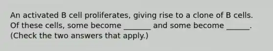 An activated B cell proliferates, giving rise to a clone of B cells. Of these cells, some become _______ and some become ______. (Check the two answers that apply.)