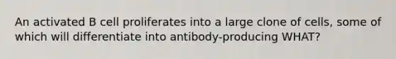 An activated B cell proliferates into a large clone of cells, some of which will differentiate into antibody-producing WHAT?