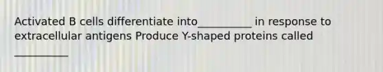 Activated B cells differentiate into__________ in response to extracellular antigens Produce Y-shaped proteins called __________