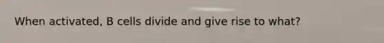 When activated, B cells divide and give rise to what?
