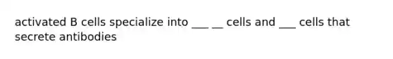 activated B cells specialize into ___ __ cells and ___ cells that secrete antibodies
