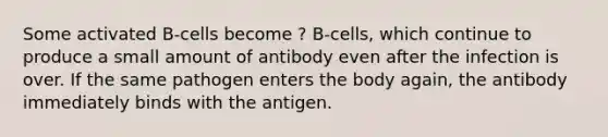 Some activated B-cells become ? B-cells, which continue to produce a small amount of antibody even after the infection is over. If the same pathogen enters the body again, the antibody immediately binds with the antigen.