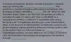 Activated complement proteins provide protection in several ways by forming the ____________ _________ _________ that produces a channel through a cell's plasma membrane. The formation of MACs ultimately __________ the cell. When do MAC formation begin? How is the the main component of a MAC is activated through C9 molecules? How is cell death as a consequence of MACs is different in nucleated cells versus bacterial cells? Complement proteins can cause inflammation. What is the function of inflammation? Complement proteins act as the chemical signals attracting different immune system cells to the sites of injury or infection known as ________________. Complement proteins can also attach to the surface of bacterial cells and stimulate macrophages to phagocytize the bacteria through _______________.