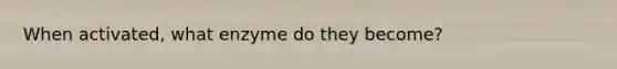 When activated, what enzyme do they become?