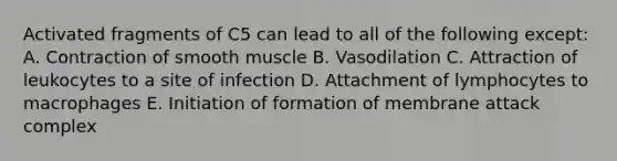 Activated fragments of C5 can lead to all of the following except: A. Contraction of smooth muscle B. Vasodilation C. Attraction of leukocytes to a site of infection D. Attachment of lymphocytes to macrophages E. Initiation of formation of membrane attack complex