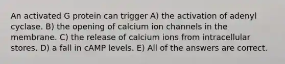 An activated G protein can trigger A) the activation of adenyl cyclase. B) the opening of calcium ion channels in the membrane. C) the release of calcium ions from intracellular stores. D) a fall in cAMP levels. E) All of the answers are correct.