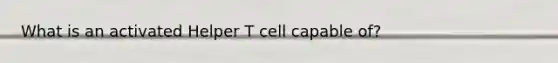 What is an activated Helper T cell capable of?