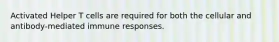 Activated Helper T cells are required for both the cellular and antibody-mediated immune responses.
