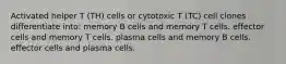 Activated helper T (TH) cells or cytotoxic T (TC) cell clones differentiate into: memory B cells and memory T cells. effector cells and memory T cells. plasma cells and memory B cells. effector cells and plasma cells.